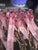 Memorial Ribbons
